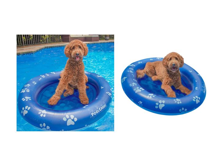 PoolCandy Inflatable Pet Float - For Dogs of All Sizes